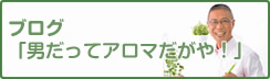 ブログ「男だってアロマだがや！」